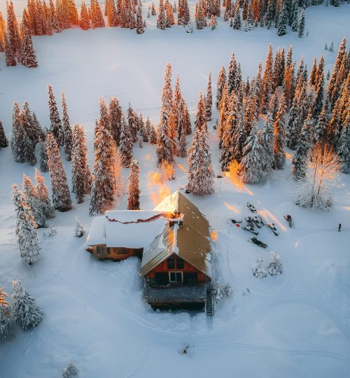 pexels-mohan-reddy-3540375